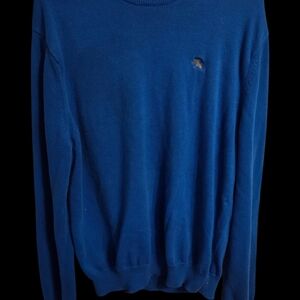 VTG Express Mens Sweater Crewneck  XL Blue Cotton Knit  Embroidered Lion